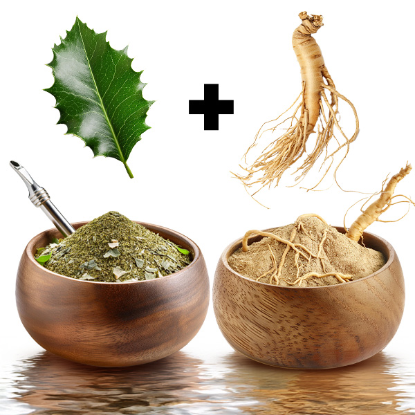 Ginseng. Das Geheimnis von Vitalität und Konzentration aus dem Fernen Osten