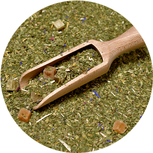 Trio Yerba Verde Mate auf START für Anfänger