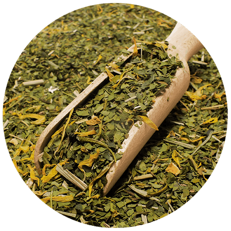 Trio Yerba Verde Mate auf START für Anfänger