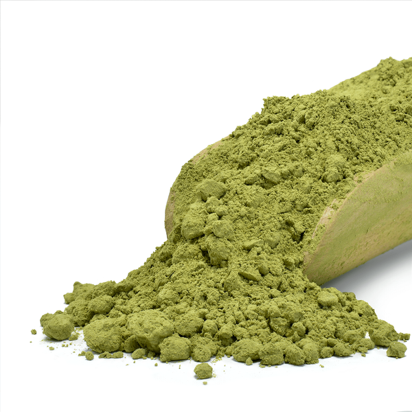 Mary Rose – Chinesischer Grüner Tee Matcha 1 kg