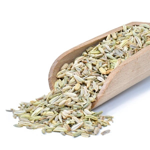 Vivarini – Fenchel (Samen) 0,5 kg