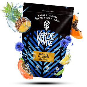 Trio Yerba Verde Mate auf START für Anfänger