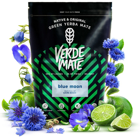 Mate Tee Set Verde Mate 500g 0,5kg Thermobecher TermoMate PRO